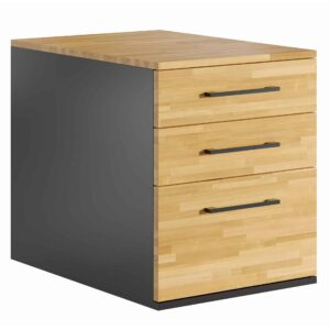 Büroschrank aus Holz