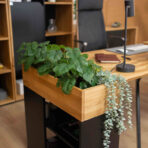 biurko z miejscem na dekoracje