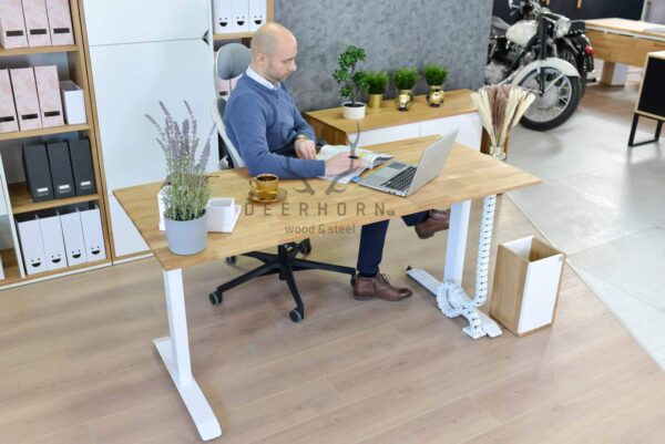 Schreibtisch mit beweglicher Platte