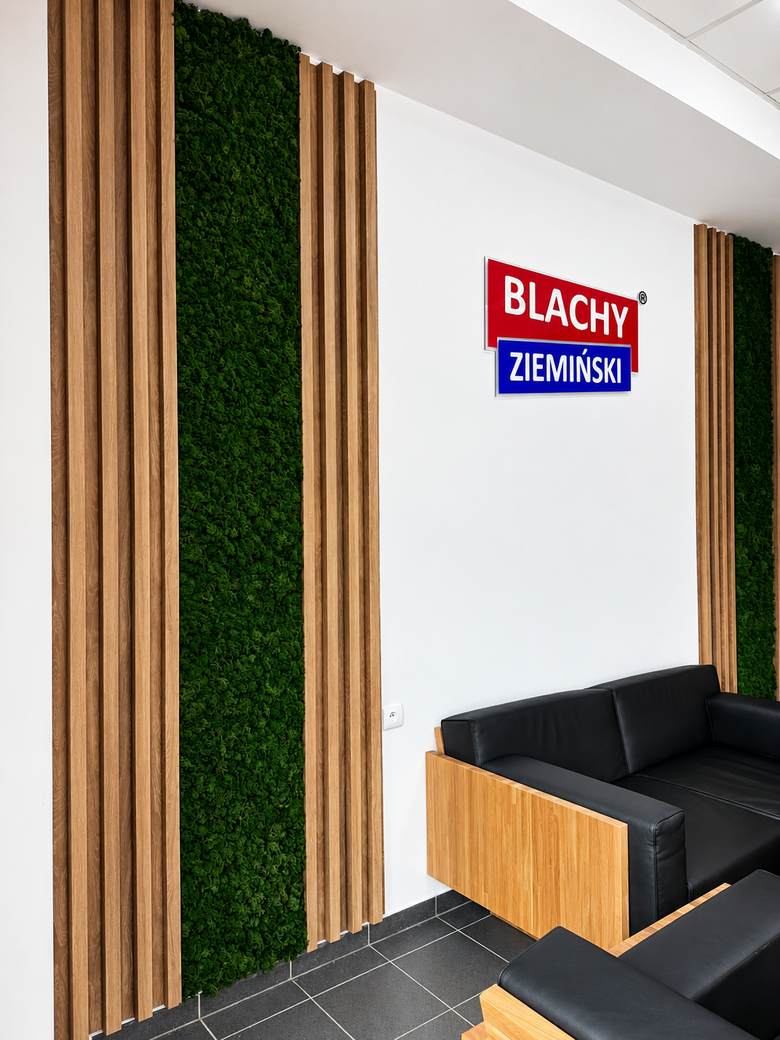 Bild #1 von Blachy Ziemiński