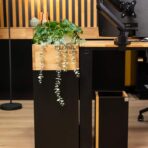 Stilvoller Schreibtisch mit Platz für Pflanzen