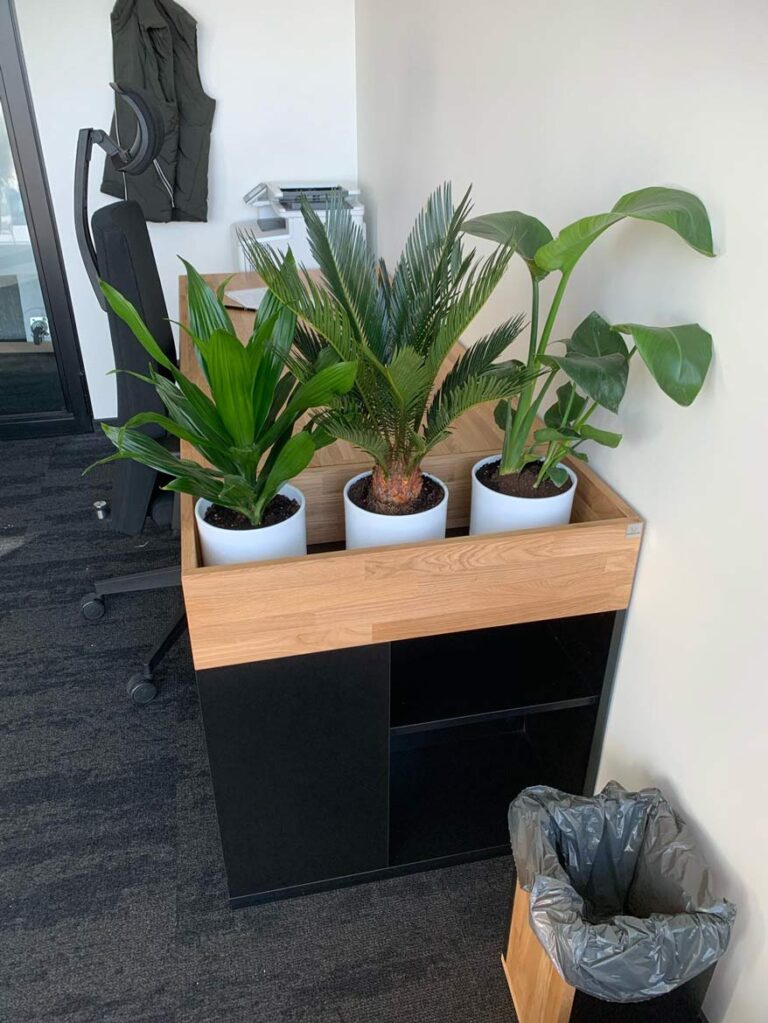 Der Büroflorist und die effektive Arbeit mit Blumen