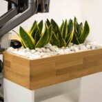Platz für Blumen im Büro