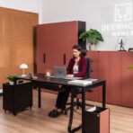 elegantes Schrankmöbelsystem