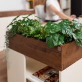 Schreibtisch mit Pflanzen im Büro