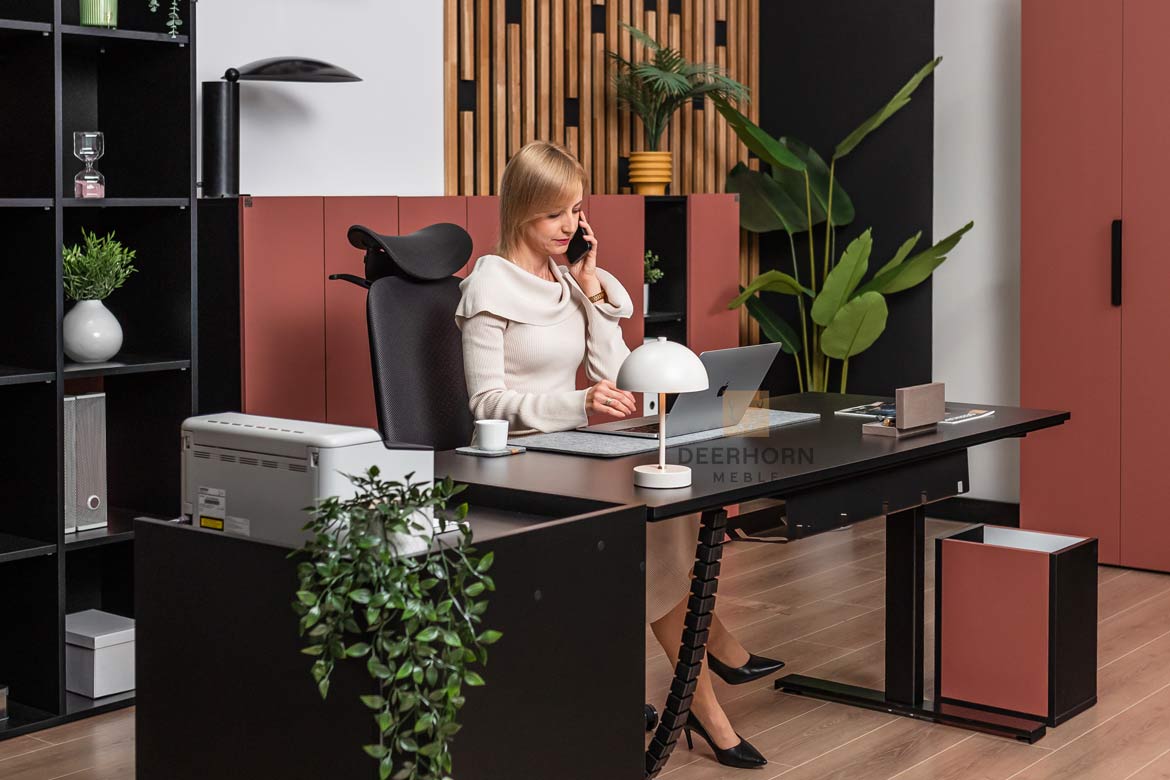 ekskluzywne-meble-do-gabinetu ekskluzywne meble do gabinetu