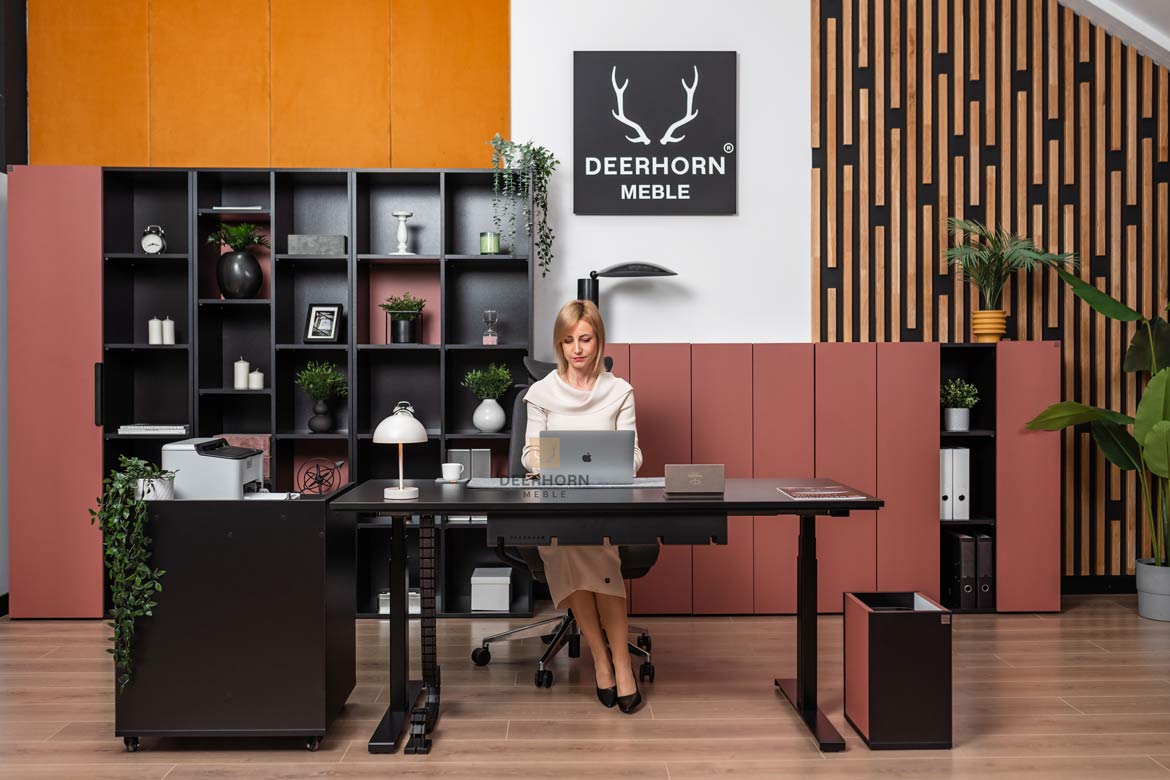 meble-do-biura-z-regulowanym-biurkiem meble do biura z regulowanym biurkiem