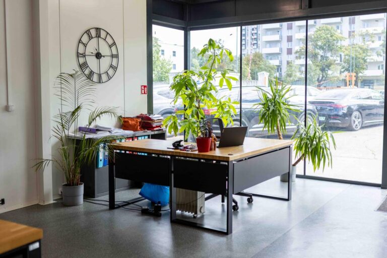 Arbeitszimmer und Büro mit großer Verglasung und Deerhorn-Möbeln