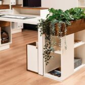 Modernes Blumenbeet für das Büro