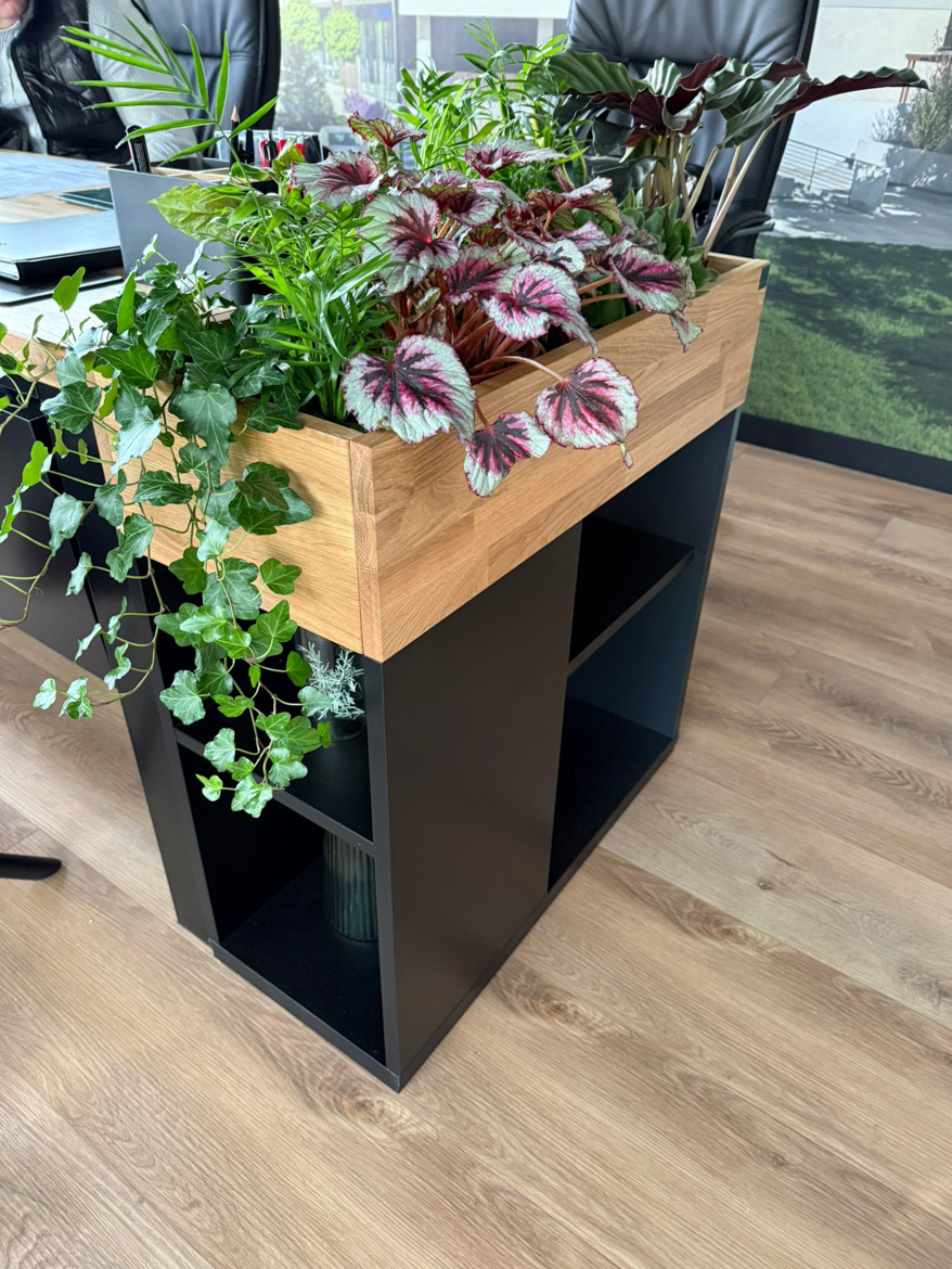 Büroflorist für Herrn Rafał aus der Immobilienbranche in Lublin